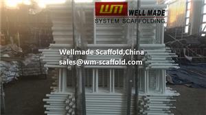Scaffolding Ladder with Swivel Clamp to USA for Frame Scaffold